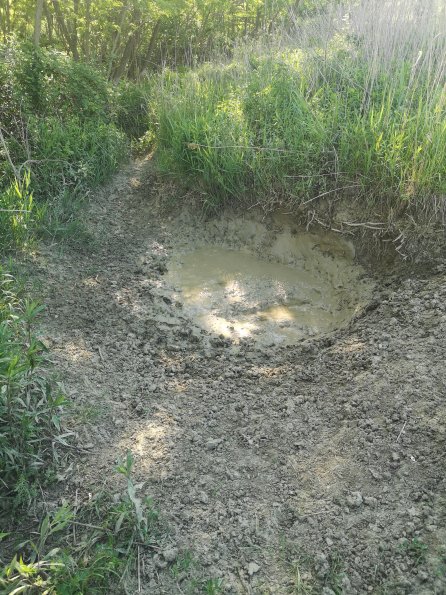 AT_POET_otheractivitysignphoto_20220519090154222_1660301162