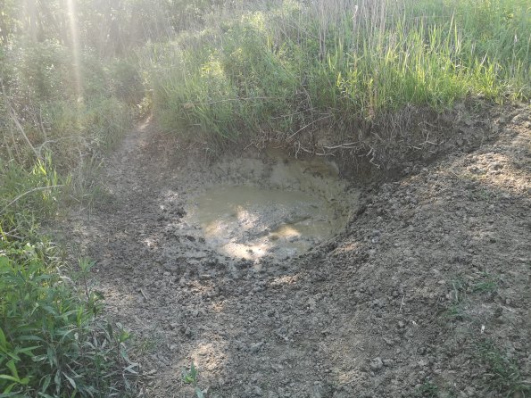 AT_POET_otheractivitysignphoto_20220519090201926_1660301160