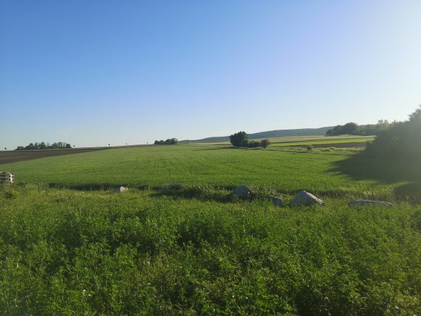 AT_POET_photofromsurroundingoverpass_20220519070325693