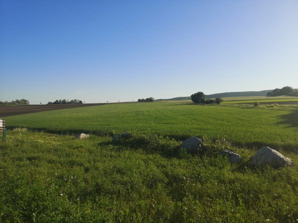 AT_POET_photofromsurroundingoverpass_20220519070412759_1660301212