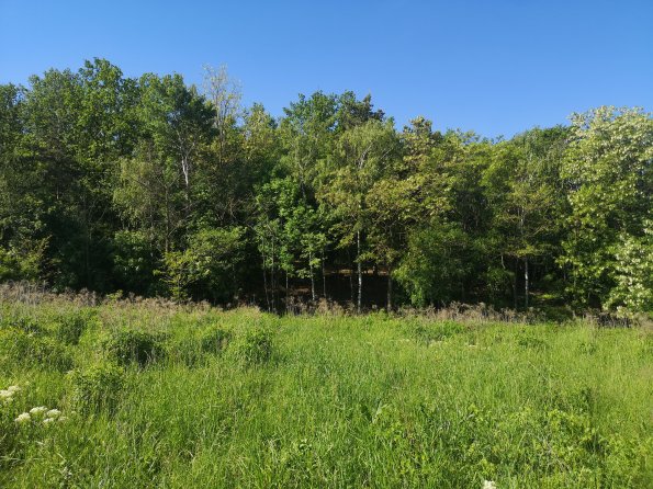 AT_POET_photofromsurroundingoverpass_20220519091322744