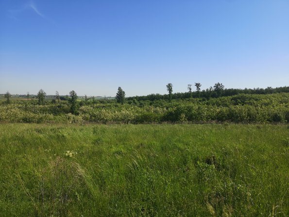 AT_POET_photofromsurroundingoverpass_20220519091344750