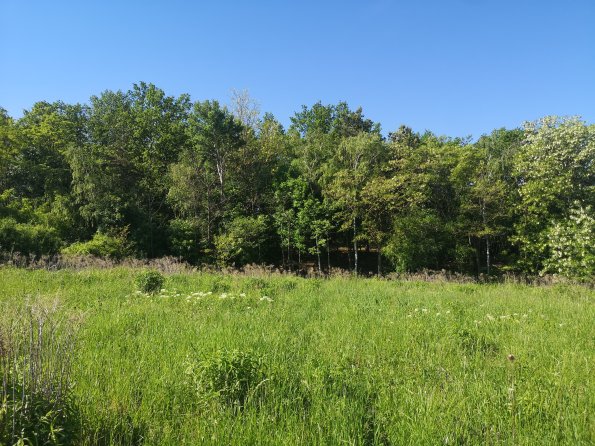 AT_POET_photofromsurroundingoverpass_20220519091359188