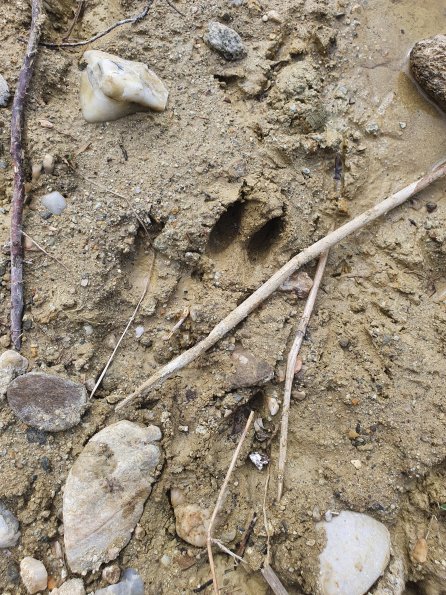 PA_AT_POET_abovefootprintphoto_20220406114832908