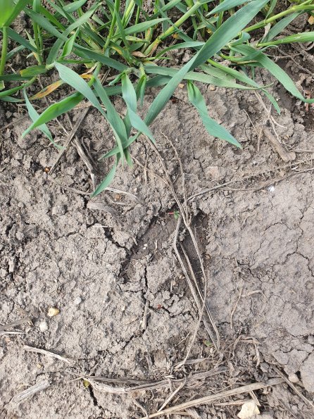 PA_AT_POET_abovefootprintphoto_20220406115817111_1663074310