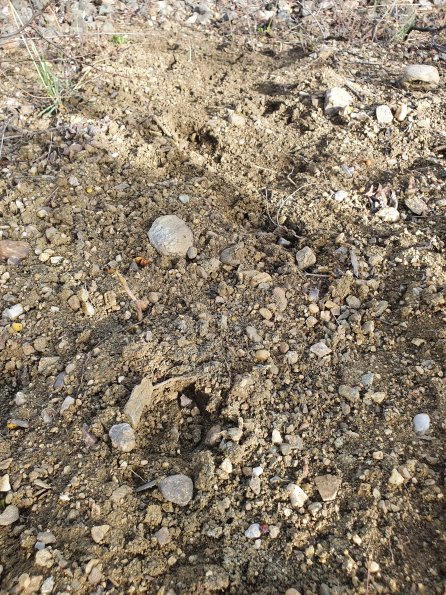 PA_AT_POET_abovefootprintphoto_20220406122831566_1663074311