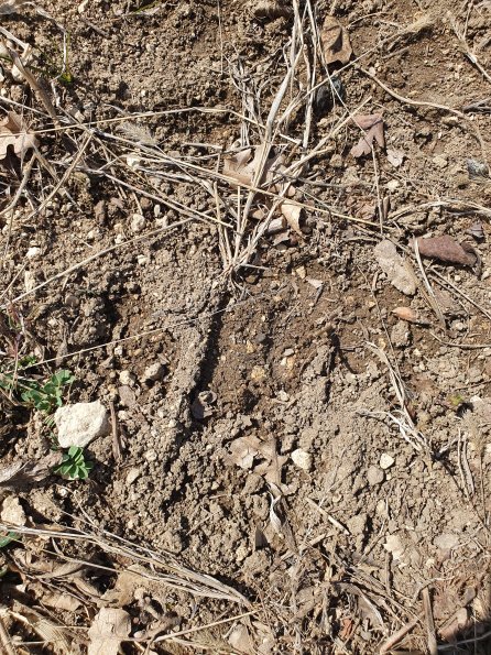 PA_AT_POET_abovefootprintphoto_20220406125805544_1663074311