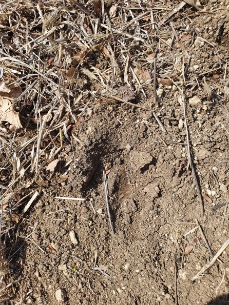 PA_AT_POET_abovefootprintphoto_20220406125858263_1663074312