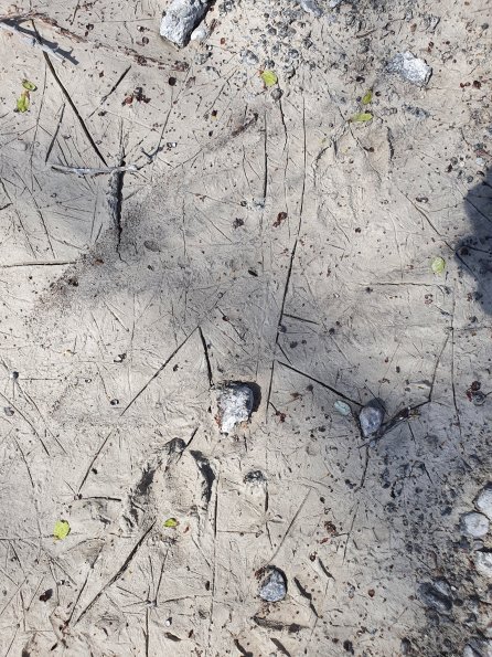 PA_AT_POET_abovefootprintphoto_20220406131134765_1663074311