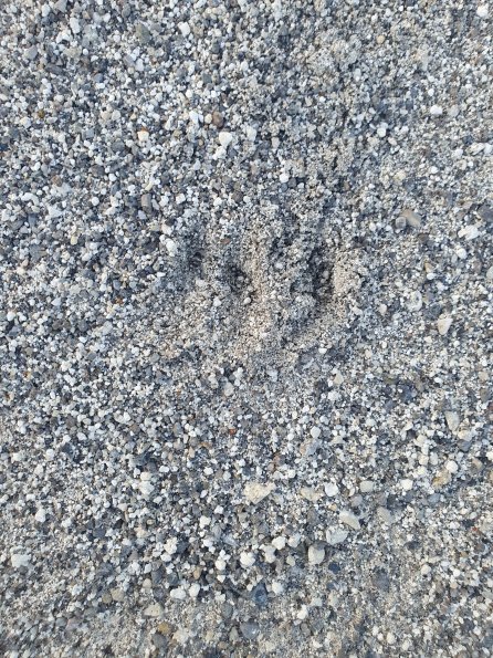 PA_AT_POET_abovefootprintphoto_20220728200756424