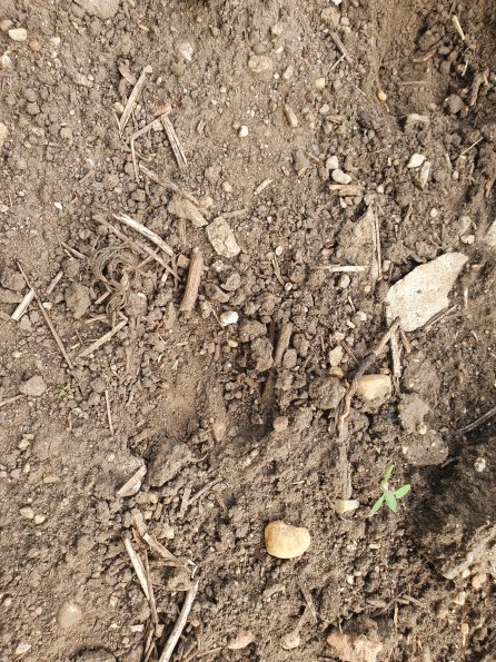 PA_AT_POET_abovefootprintphoto_20220729082736614