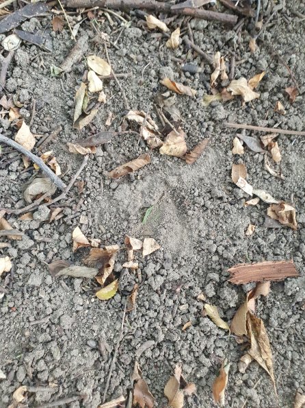 PA_AT_POET_abovefootprintphoto_20220729085550614