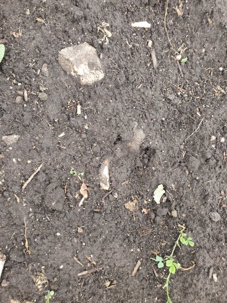 PA_AT_POET_abovefootprintphoto_20220823141350752