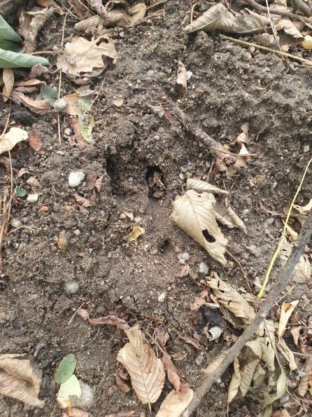 PA_AT_POET_abovefootprintphoto_20220823171821852