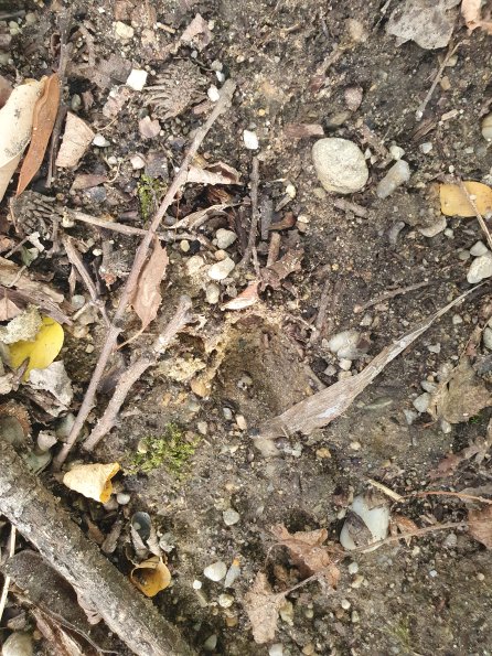 PA_AT_POET_abovefootprintphoto_20220823172745151