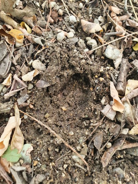 PA_AT_POET_abovefootprintphoto_20220823172939150