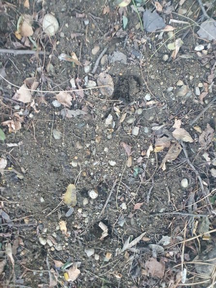 PA_AT_POET_abovefootprintphoto_20220823191826442