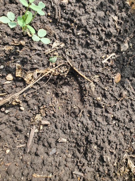 PA_AT_POET_abovefootprintphoto_20220824103216492