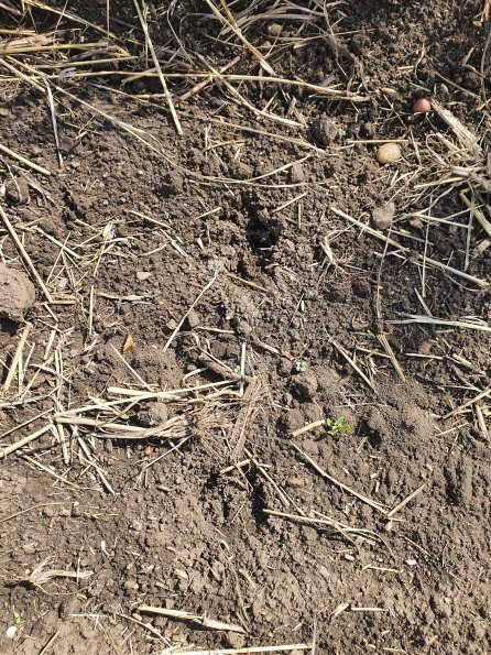 PA_AT_POET_abovefootprintphoto_20220824115607294