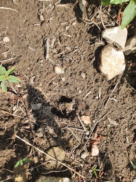 PA_AT_POET_abovefootprintphoto_20220824120142729