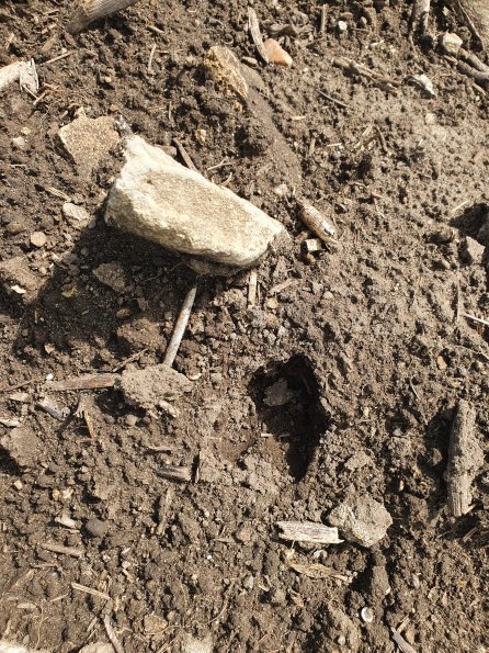 PA_AT_POET_abovefootprintphoto_20220824120926880