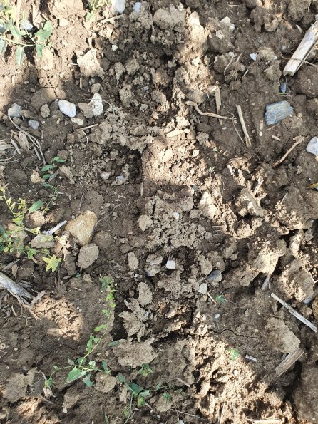 PA_AT_POET_abovefootprintphoto_20220824122920191