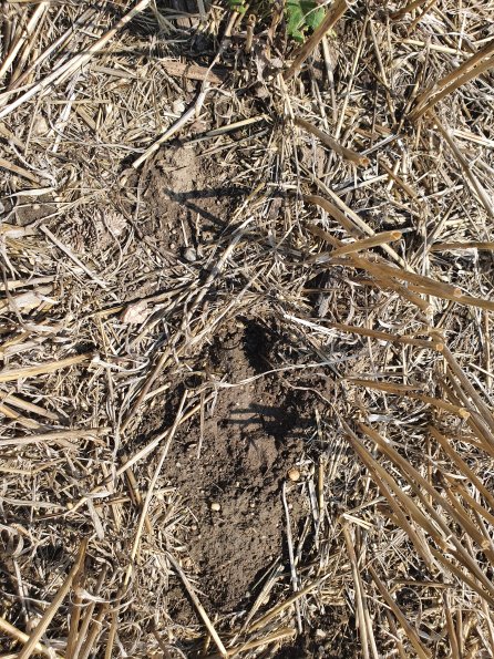 PA_AT_POET_abovefootprintphoto_20220824123906579