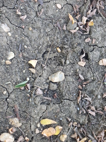 PA_AT_POET_abovefootprintphoto_20220824153700810