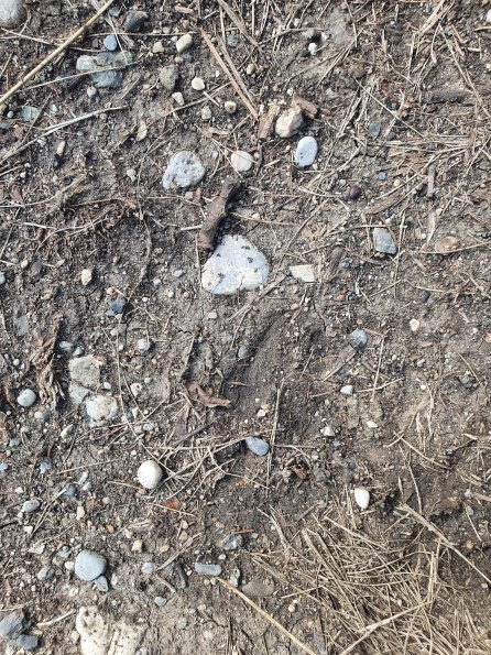 PA_AT_POET_abovefootprintphoto_20220824154550966