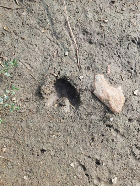 PA_AT_POET_abovefootprintphoto_20220824162035960