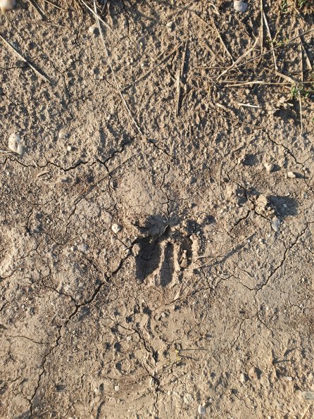 PA_AT_POET_abovefootprintphoto_20220824180001309