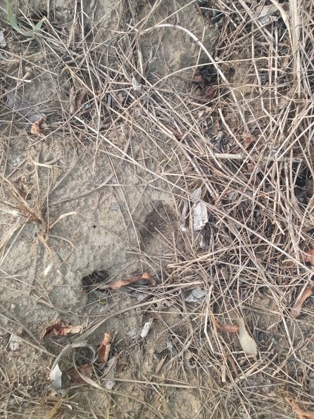 PA_AT_POET_abovefootprintphoto_20220824192610233