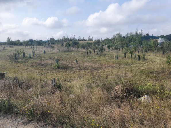 PA_AT_POET_entranceareaphotofrombothsidesoverpass_20220825091251275