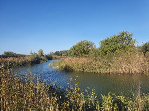 PA_AT_POET_lc-element-photo_20211001161907487_1663074469