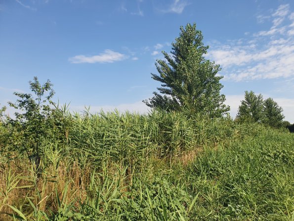 PA_AT_POET_lc-element-photo_20220729093059586