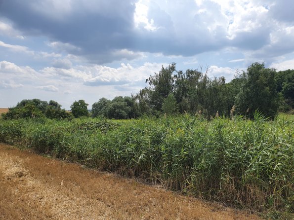 PA_AT_POET_lc-element-photo_20220729121839394