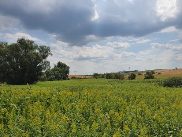 PA_AT_POET_lc-element-photo_20220729122049281