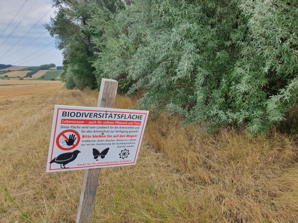 PA_AT_POET_lc-element-photo_20220729124557004