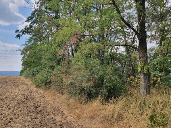 PA_AT_POET_lc-element-photo_20220729125019759