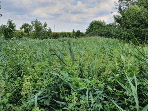 PA_AT_POET_lc-element-photo_20220729140012965