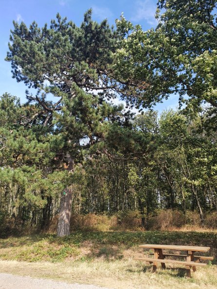 PA_AT_POET_lc-element-photo_20220824161408747