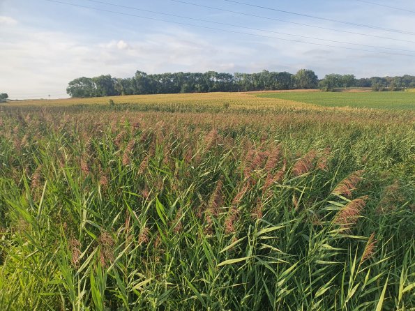 PA_AT_POET_lc-element-photo_20220824183331090