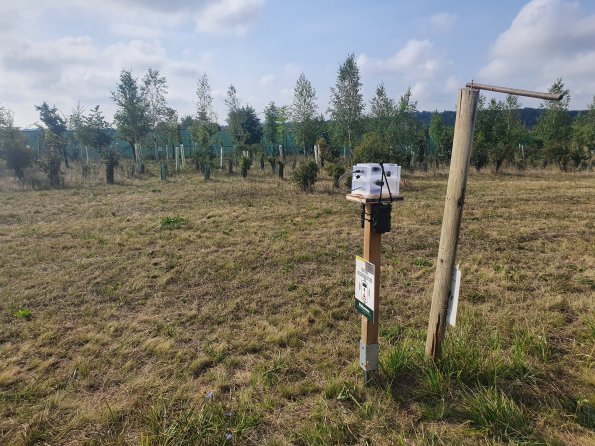 PA_AT_POET_onoverpassphoto_20220825091319750