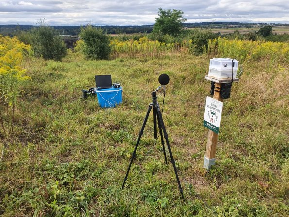 PA_AT_POET_onoverpassphoto_20220825091630176