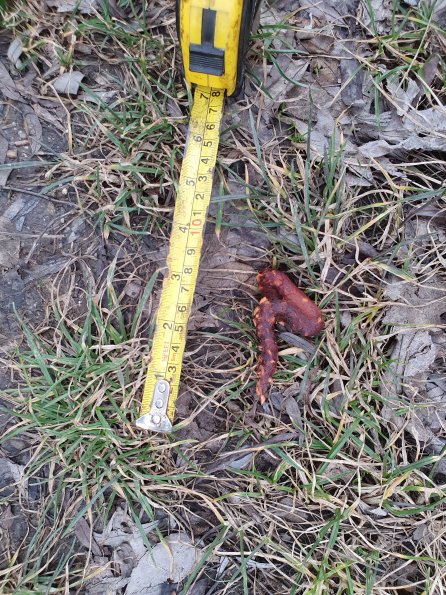 PA_AT_POET_otheractivitysignphoto_20220208153229754_1663074472