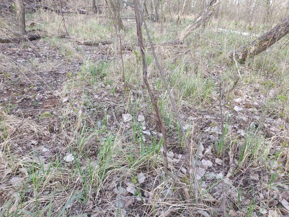 PA_AT_POET_otheractivitysignphoto_20220406083621957