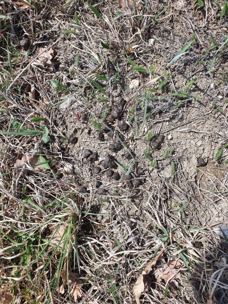 PA_AT_POET_otheractivitysignphoto_20220406125341469_1663074472