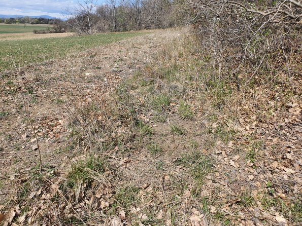 PA_AT_POET_otheractivitysignphoto_20220406130005507