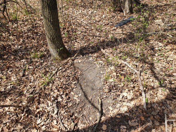 PA_AT_POET_otheractivitysignphoto_20220406130112817_1663074514