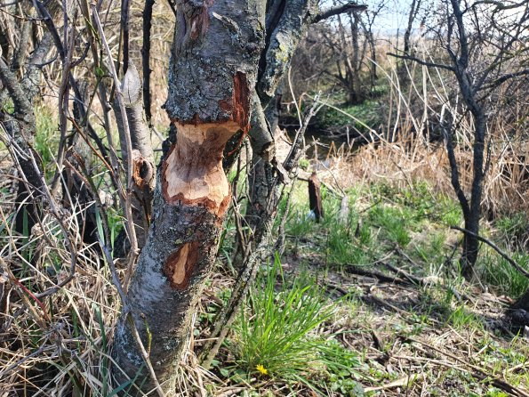 PA_AT_POET_otheractivitysignphoto_20220406134411137_1663074507